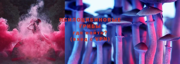 дживик Арсеньев