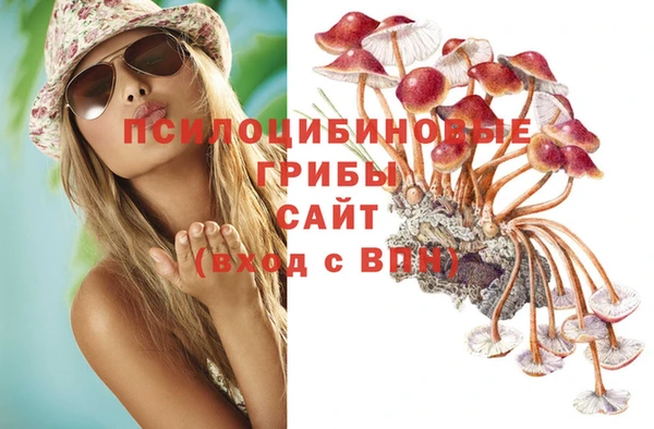 дживик Арсеньев