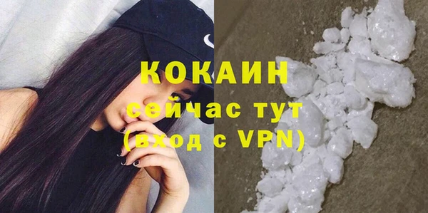 дживик Арсеньев