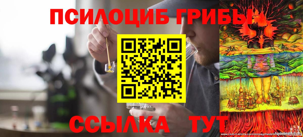 Псилоцибиновые грибы прущие грибы  Псилоцибиновые грибы Magic Shrooms  Ахтубинск 