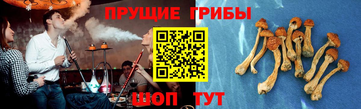 Ахтубинск  где продают   Вход с VPN  Псилоцибиновые грибы мицелий 